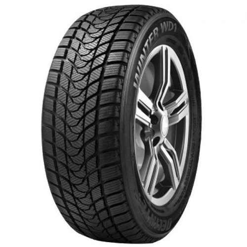 Delinte Winter WD1 215/55 R17 94T
