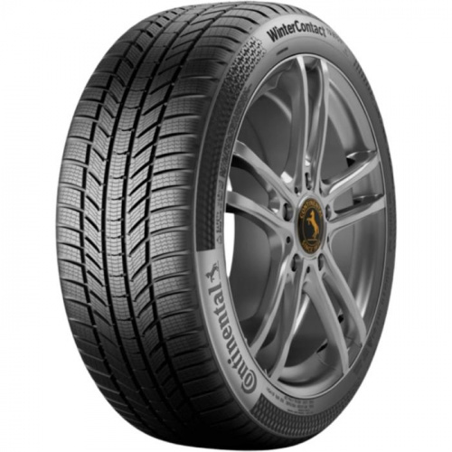 Continental ContiWinterContact TS 870 P 195/55 R20 95H XL