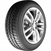 RoadX RXFrost WH01 245/70 R16 107T